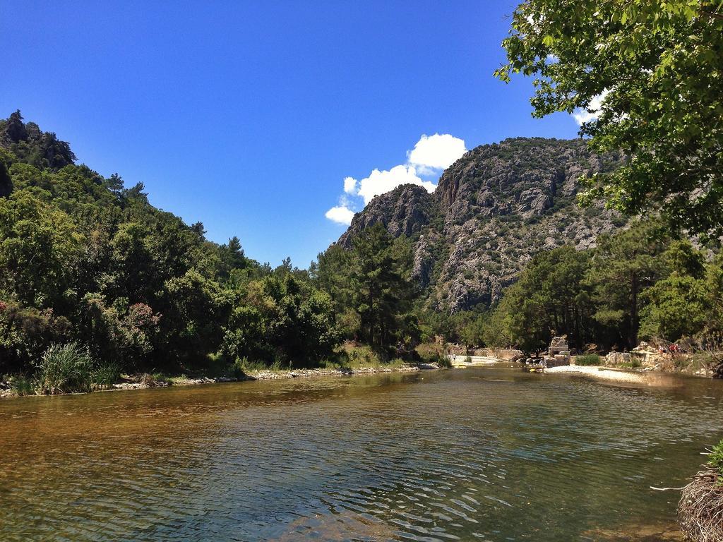 Kadir'S Top Tree Houses Olympos Exterior foto