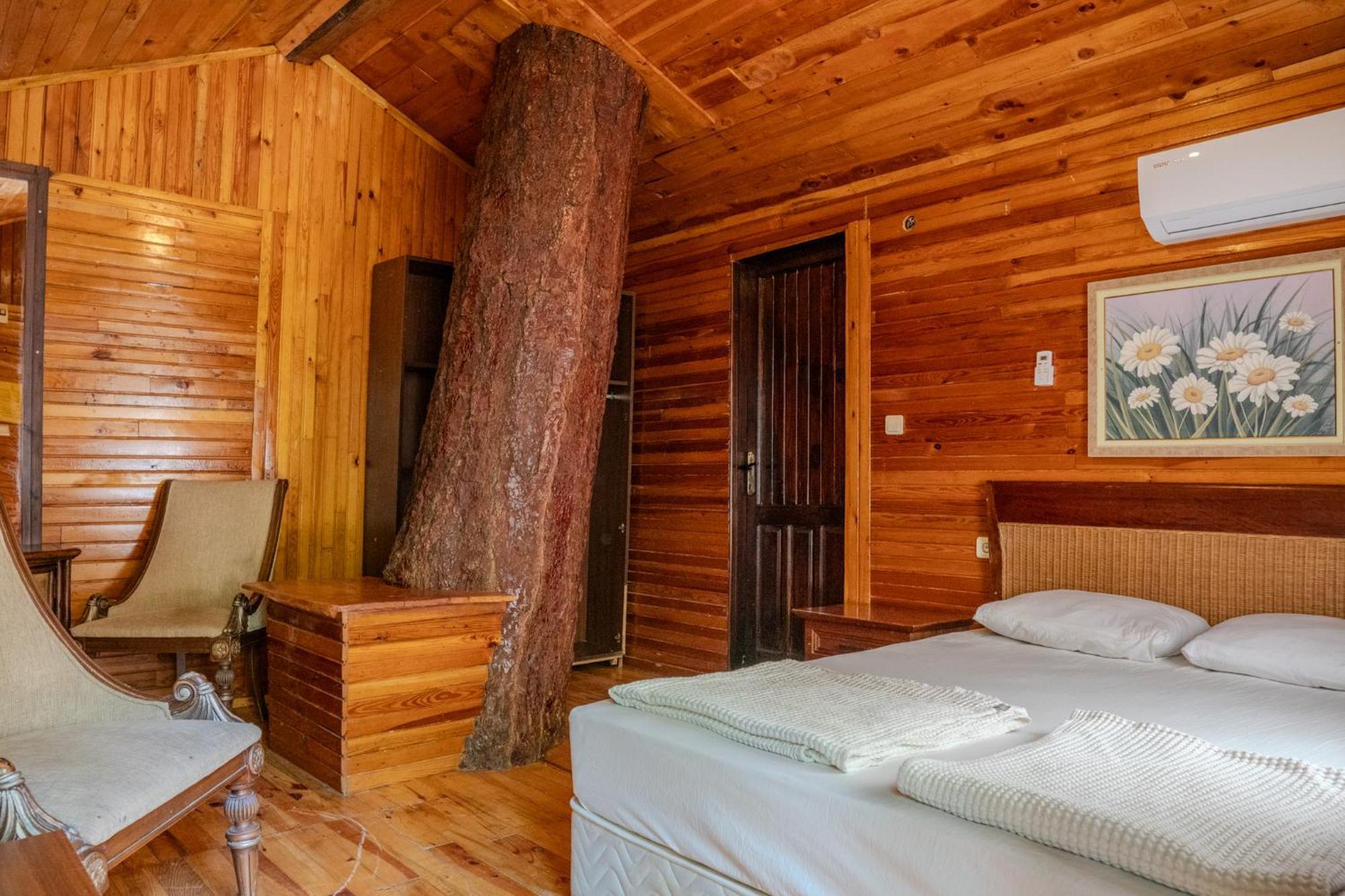 Kadir'S Top Tree Houses Olympos Exterior foto